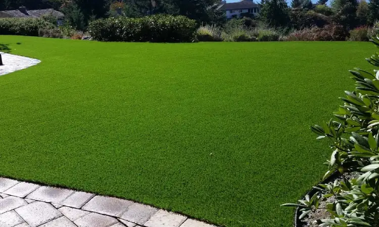 Menjaga kualitas rumput karpet, Sumber: bigcommerce.com