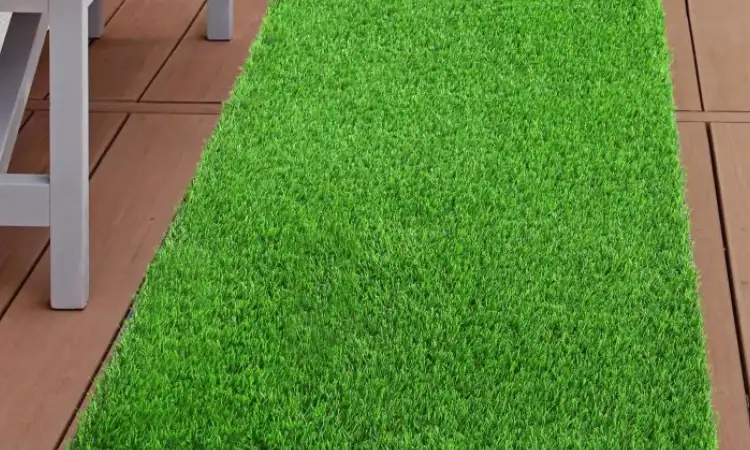 Rumput karpet berkualitas, Sumber: lazcdn.com