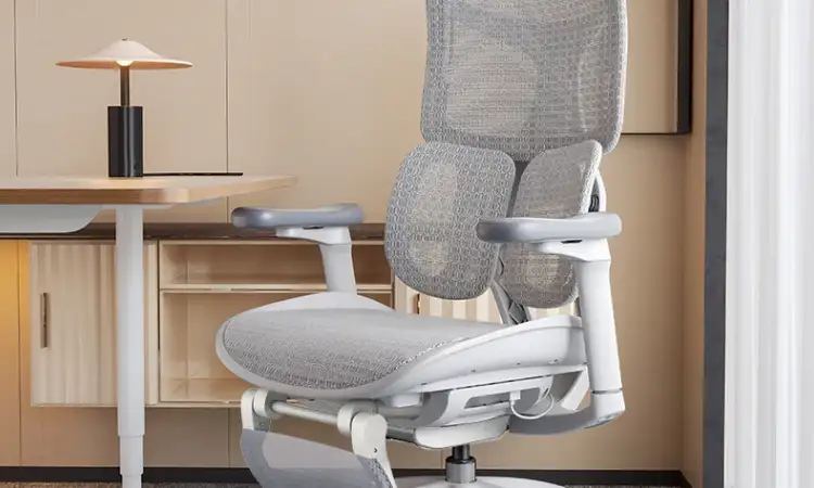 Kursi ergonomis, Sumber: sihoo.id