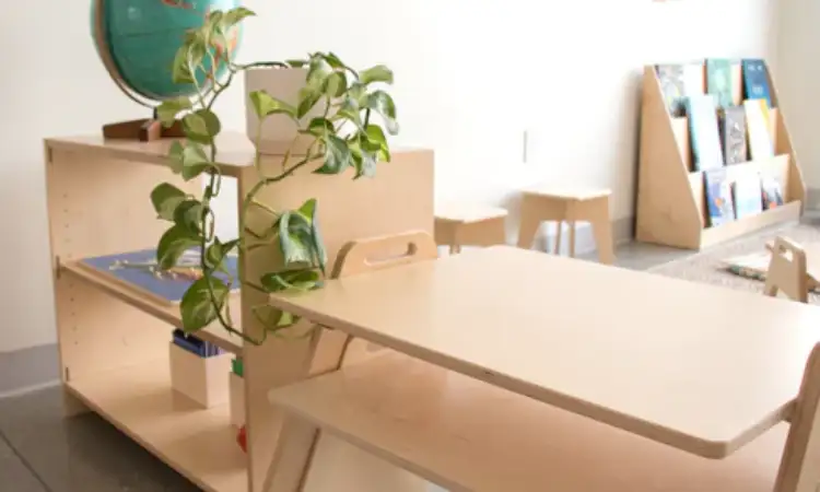 Dekorasi tanaman indoor, Sumber: sprout-kids.com