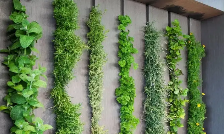 Vertical Indoor Garden, Sumber: wixstatic.com
