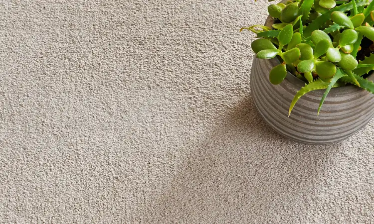 Karpet Polypropylene minimalis, Sumber: cloudinary.com