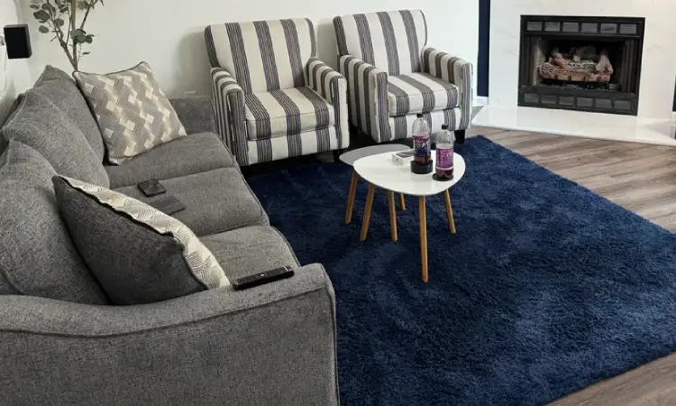 Karpet biru dongker, Sumber: reddit.com