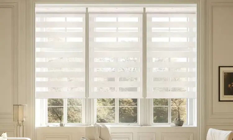 Tentang Zebra Blind, Sumber: bringnox.com