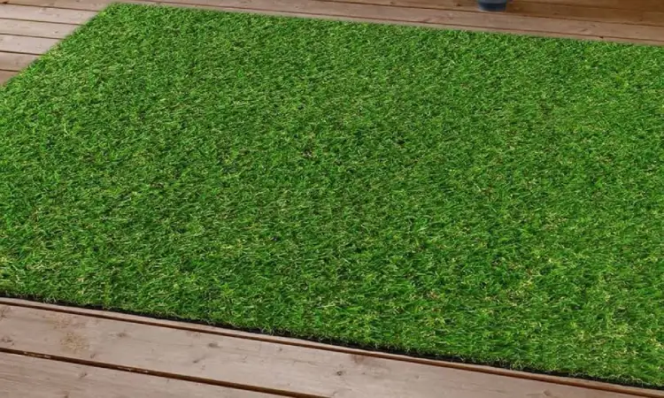 Karpet rumput, Sumber: imimg.com