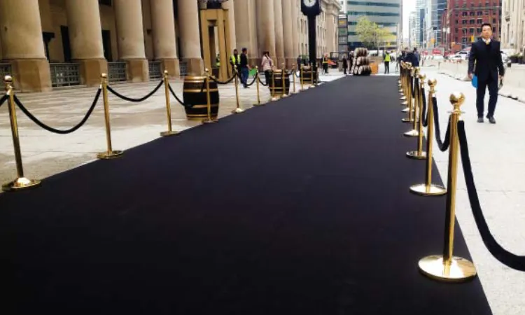 Karpet warna hitam, Sumber: sceneideas.ca