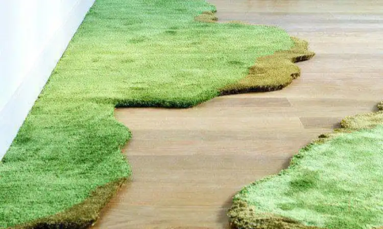 Moss Grass carpet, Sumber: pinterest.com
